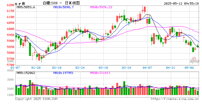 光大期货软商品类日报5.12