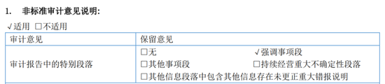 又一A股审计“自爆	”！23年IPO上市	，次年就财务造假？