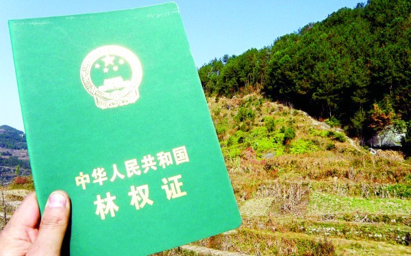如何选取
合适的土地租赁与建房方式？租赁土地建房有哪些要点？