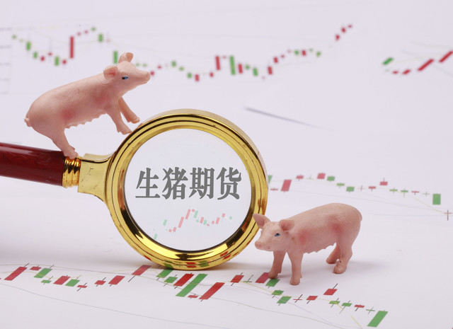 期货pta与哪些因素有关？这些因素如何影响pta期货？